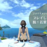 FF14プレイして一年経過