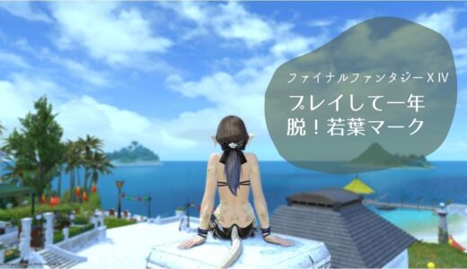 FF14を一年間プレイして分かったこと！ハマった要素まとめ【さよなら若葉マーク】