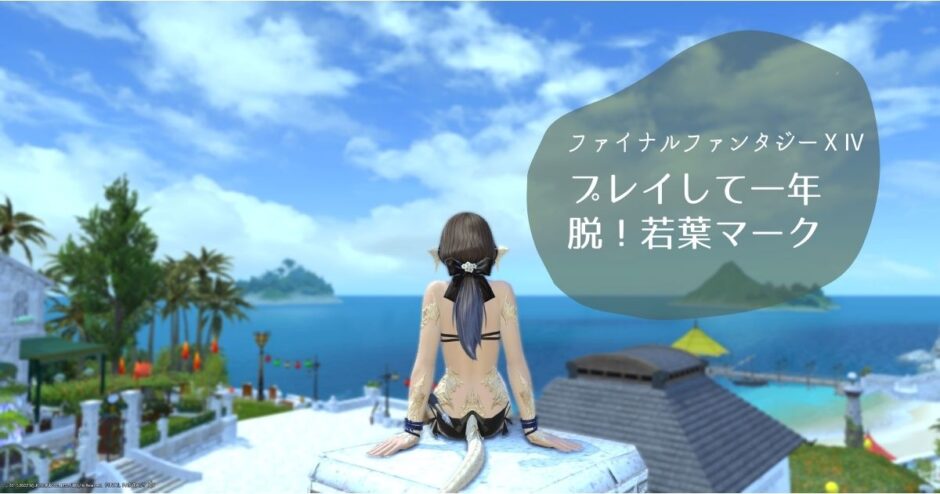 FF14プレイして一年経過